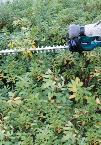 71C8rn3b7BL._UF1000,1000_QL80_