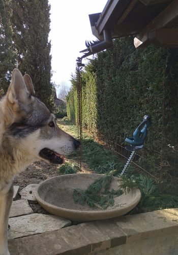 recensione 3 tagliasiepi